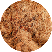 sloma