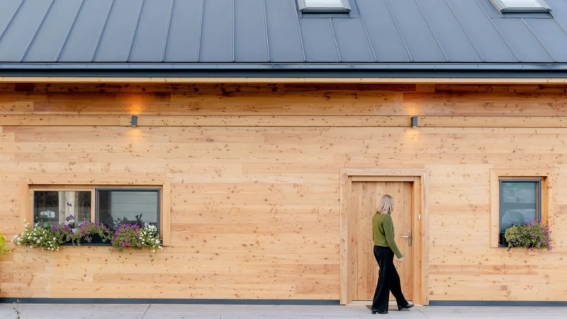 nowoczesne domy z bali